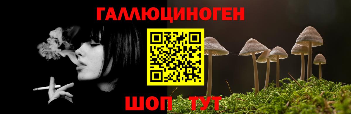 Донской  Псилоцибиновые грибы прущие грибы  Вход с VPN 